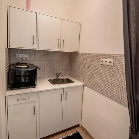 Apartment Eva Downtown *